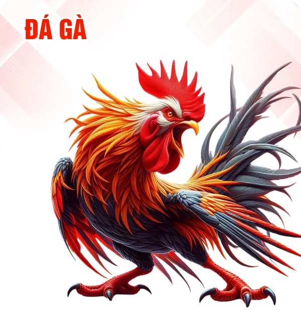 đá gà